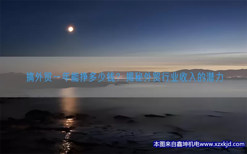 搞外贸一年能挣多少钱？揭秘外贸行业收入的潜力(pic1)