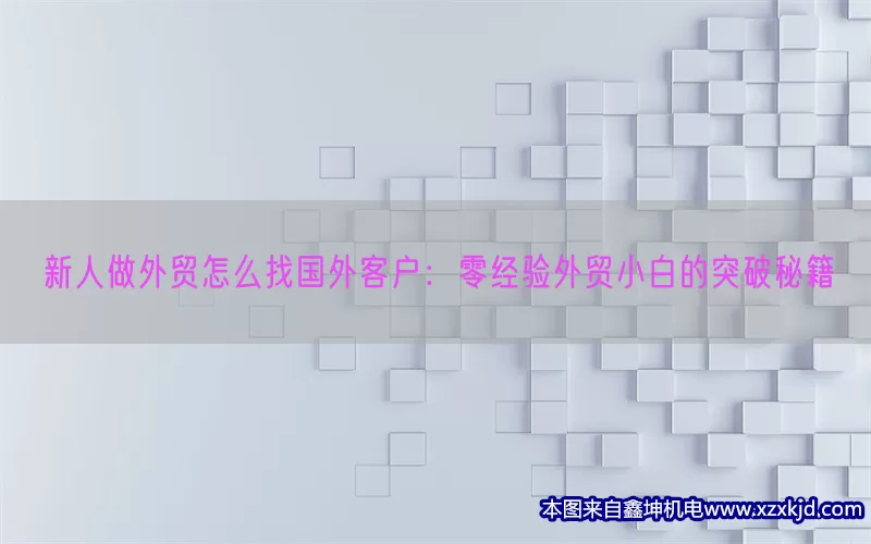 新人做外贸怎么找国外客户：零经验外贸小白的突破秘籍(pic1)