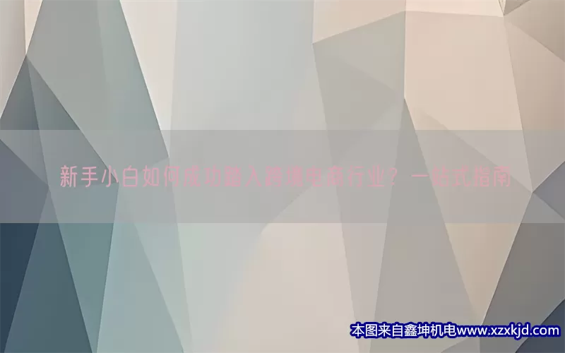新手小白如何成功踏入跨境电商行业？一站式指南(pic1)