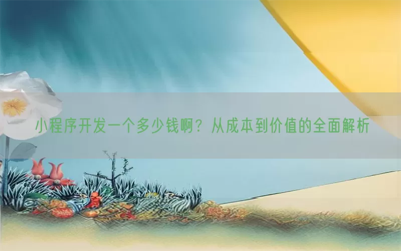 小程序开发一个多少钱啊？从成本到价值的全面解析