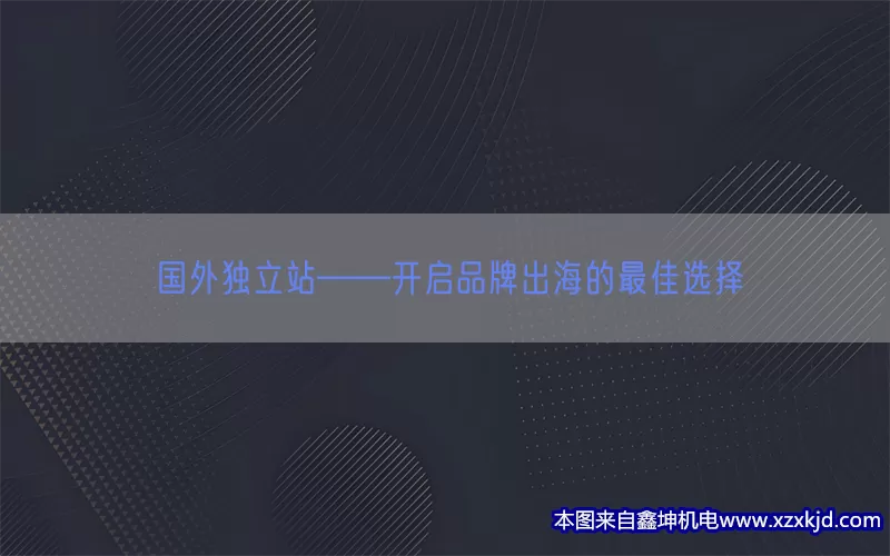 国外独立站——开启品牌出海的最佳选择(pic1)