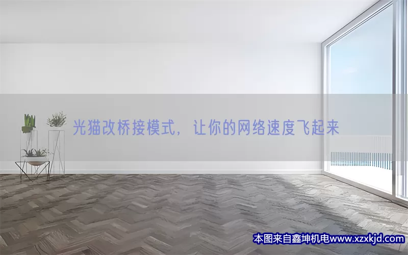光猫改桥接模式，让你的网络速度飞起来(pic1)