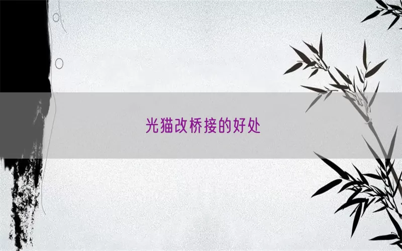 光猫改桥接的好处