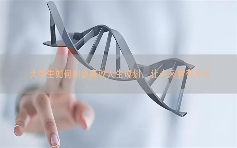 大学生如何制定高效人生规划，让未来更有方向