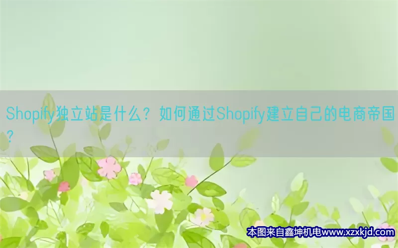 Shopify独立站是什么？如何通过Shopify建立自己的电商帝国？(pic1)