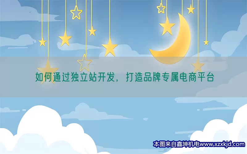 如何通过独立站开发，打造品牌专属电商平台(pic1)