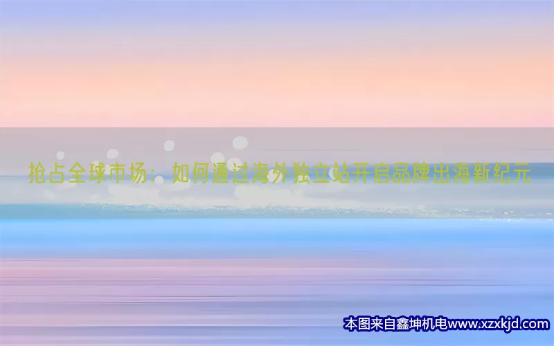 抢占全球市场：如何通过海外独立站开启品牌出海新纪元(pic1)