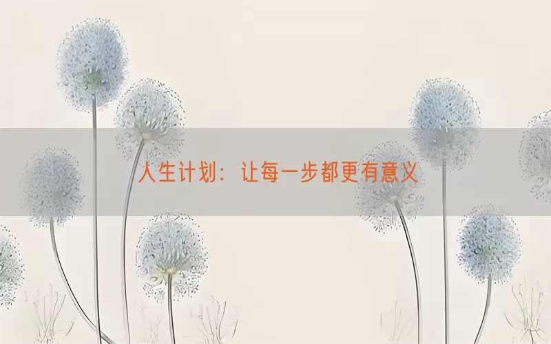 人生计划：让每一步都更有意义
