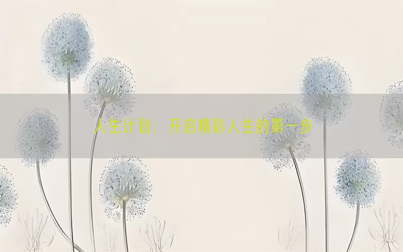 人生计划：开启精彩人生的第一步