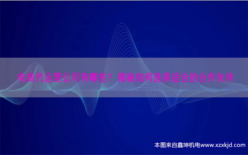 电商代运营公司有哪些？揭秘如何选择适合的合作伙伴(pic1)