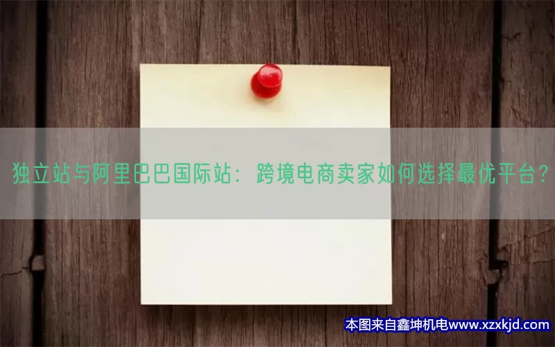 独立站与阿里巴巴国际站：跨境电商卖家如何选择最优平台？(pic1)