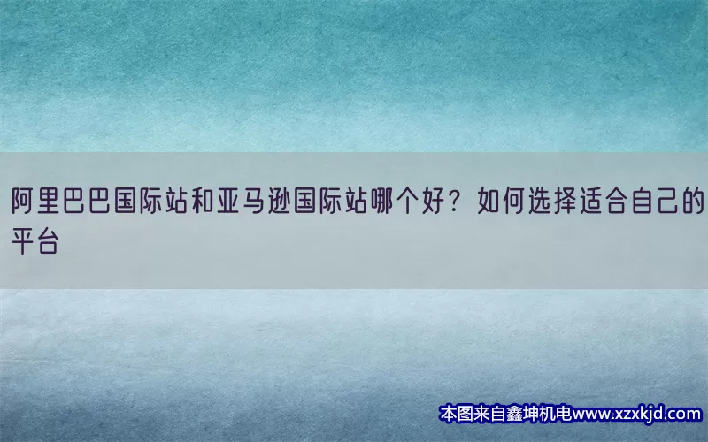 阿里巴巴国际站和亚马逊国际站哪个好？如何选择适合自己的平台(pic1)