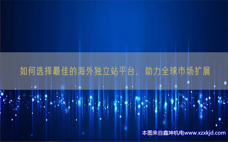 如何选择最佳的海外独立站平台，助力全球市场扩展(pic1)