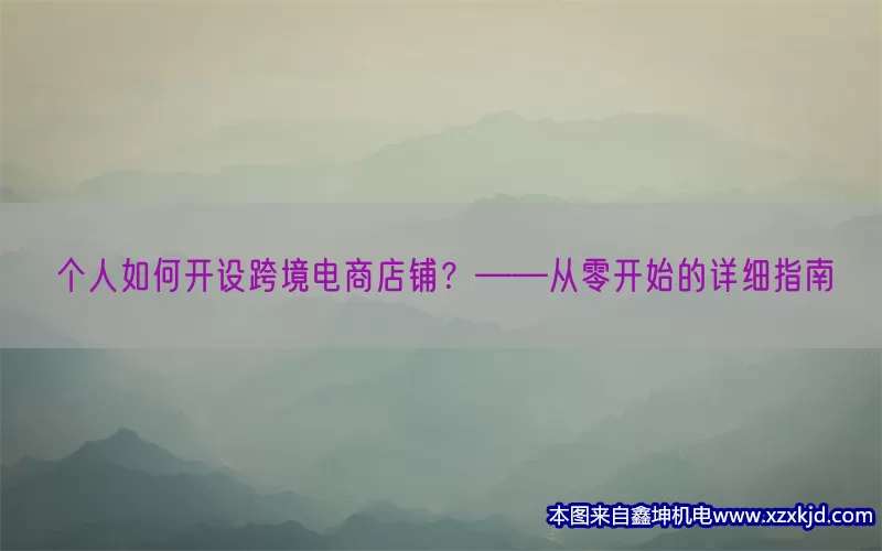 个人如何开设跨境电商店铺？——从零开始的详细指南(pic1)
