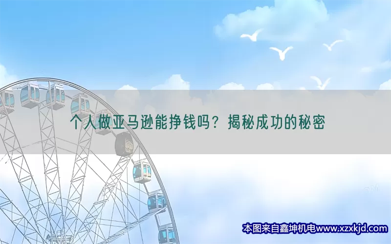 个人做亚马逊能挣钱吗？揭秘成功的秘密(pic1)