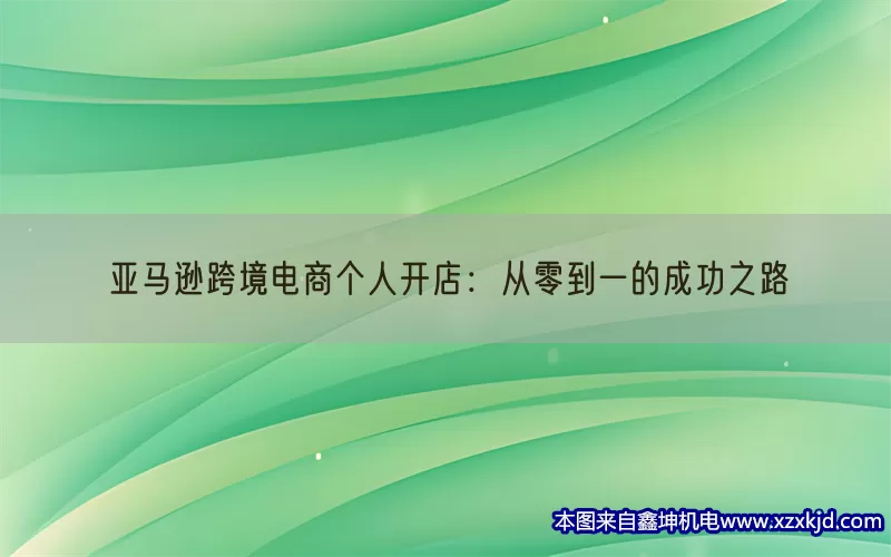亚马逊跨境电商个人开店：从零到一的成功之路(pic1)