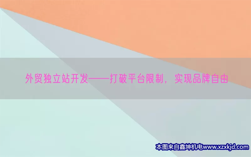 外贸独立站开发——打破平台限制，实现品牌自由(pic1)