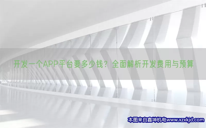 开发一个APP平台要多少钱？全面解析开发费用与预算(pic1)