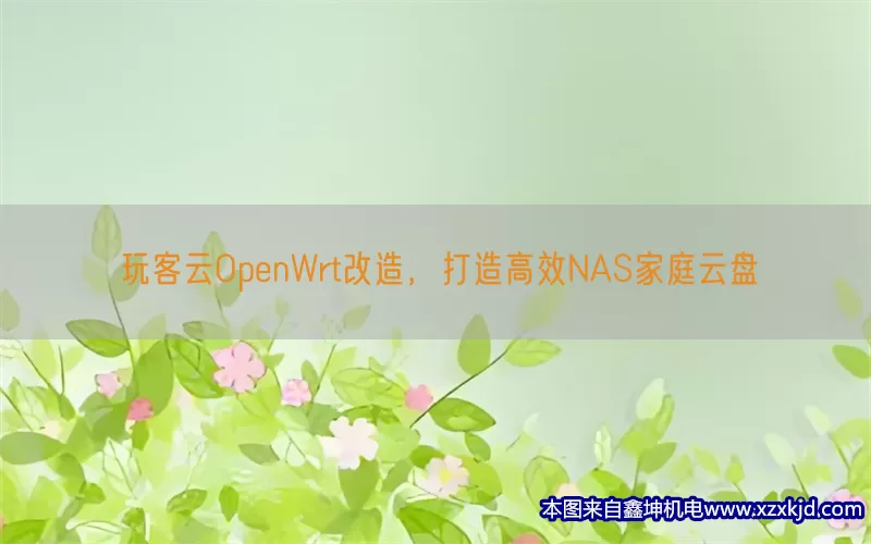 玩客云OpenWrt改造，打造高效NAS家庭云盘(pic1)