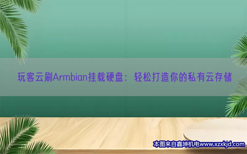 玩客云刷Armbian挂载硬盘：轻松打造你的私有云存储(pic1)