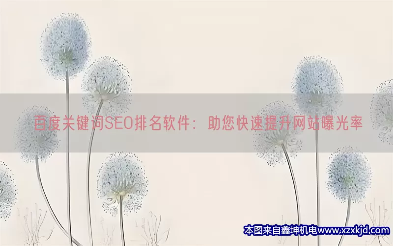 百度关键词SEO排名软件：助您快速提升网站曝光率(pic1)