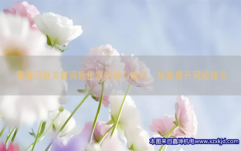 掌握百度关键词找代发的核心技巧，轻松提升网站排名(pic1)
