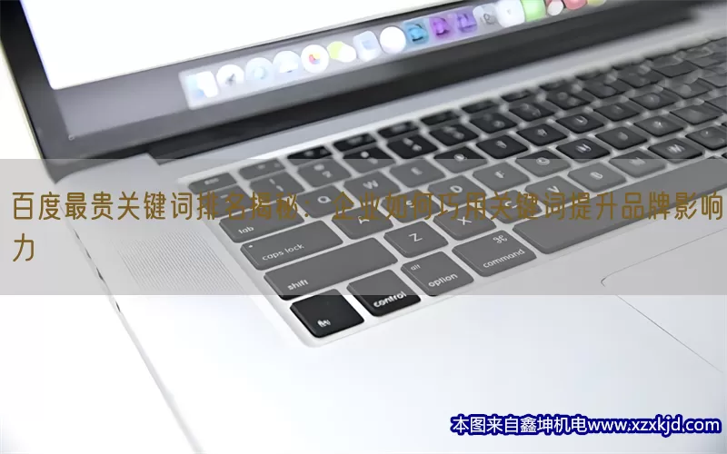 百度最贵关键词排名揭秘：企业如何巧用关键词提升品牌影响力(pic1)