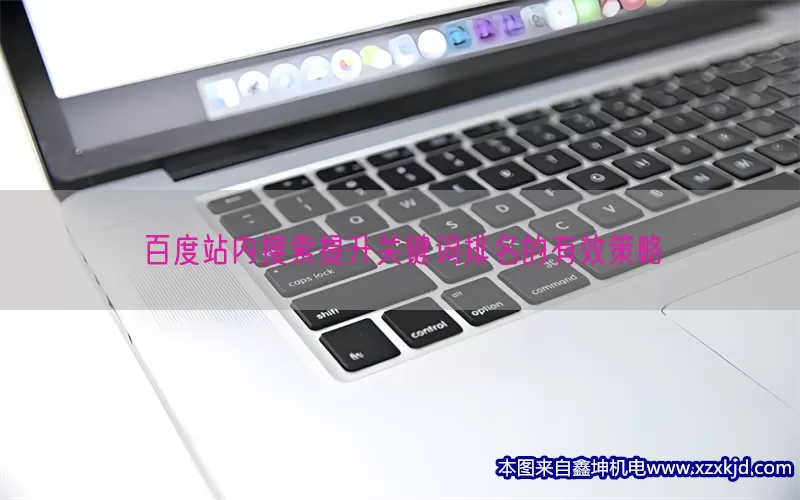 百度站内搜索提升关键词排名的有效策略(pic1)
