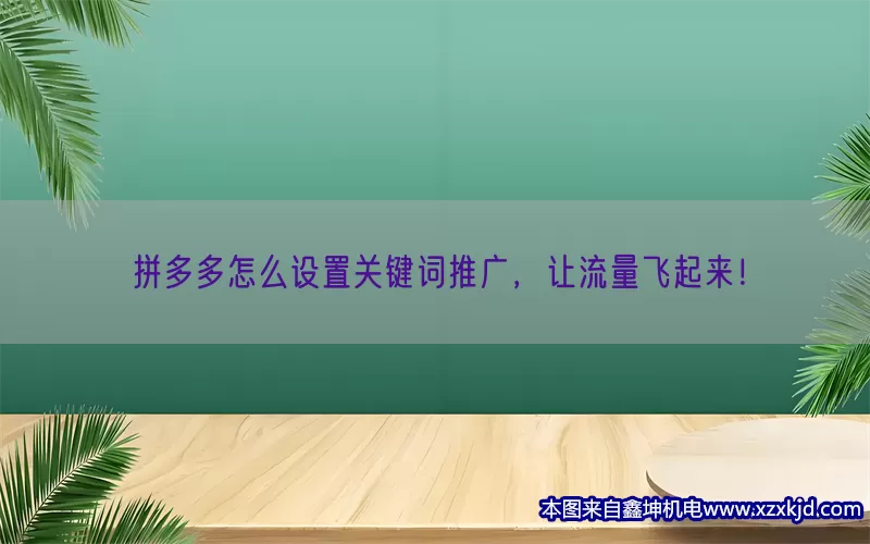 拼多多怎么设置关键词推广，让流量飞起来！(pic1)