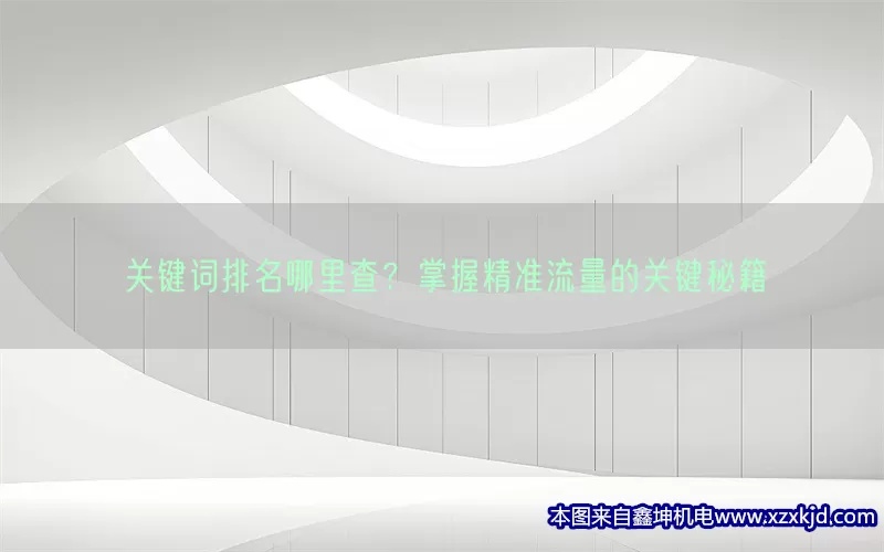 关键词排名哪里查？掌握精准流量的关键秘籍(pic1)