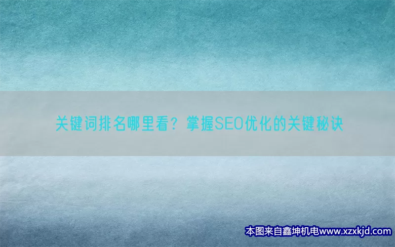 关键词排名哪里看？掌握SEO优化的关键秘诀(pic1)
