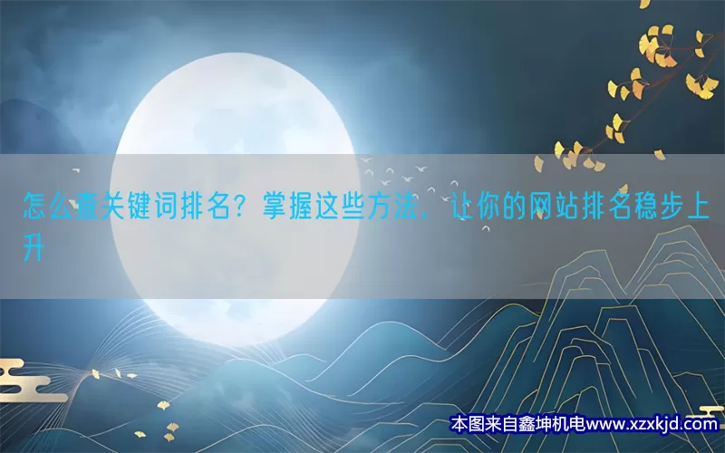 怎么查关键词排名？掌握这些方法，让你的网站排名稳步上升(pic1)