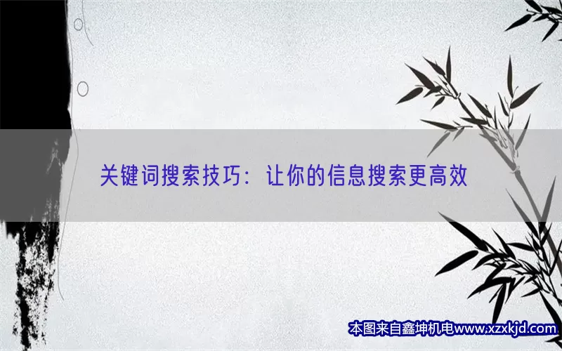 关键词搜索技巧：让你的信息搜索更高效(pic1)