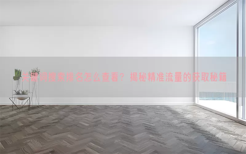 关键词搜索排名怎么查看？揭秘精准流量的获取秘籍