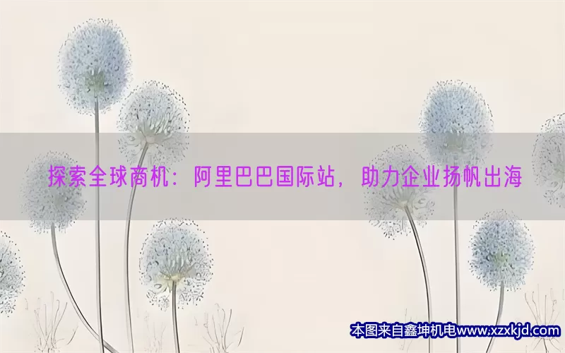 探索全球商机：阿里巴巴国际站，助力企业扬帆出海(pic1)