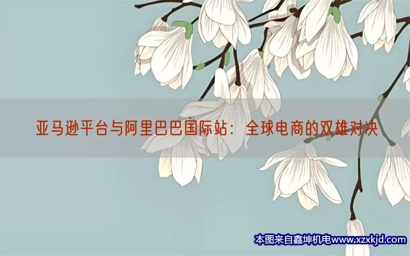 亚马逊平台与阿里巴巴国际站：全球电商的双雄对决(pic1)