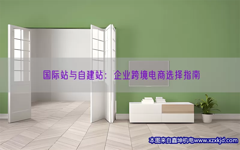 国际站与自建站：企业跨境电商选择指南(pic1)