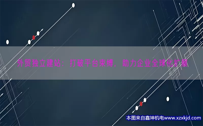外贸独立建站：打破平台束缚，助力企业全球化扩展(pic1)