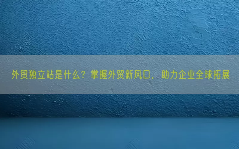 外贸独立站是什么？掌握外贸新风口，助力企业全球拓展
