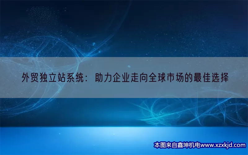 外贸独立站系统：助力企业走向全球市场的最佳选择(pic1)