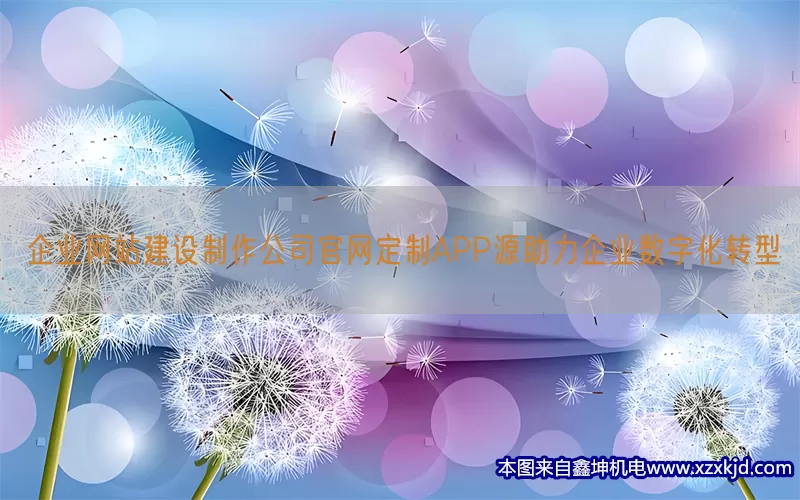 企业网站建设制作公司官网定制APP源助力企业数字化转型(pic1)