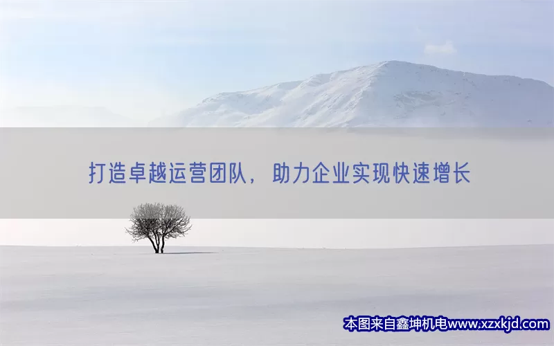 打造卓越运营团队，助力企业实现快速增长(pic1)