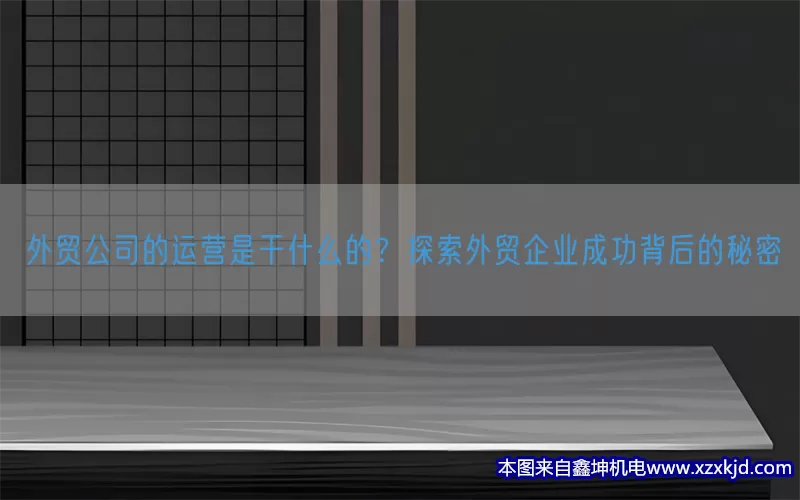 外贸公司的运营是干什么的？探索外贸企业成功背后的秘密(pic1)