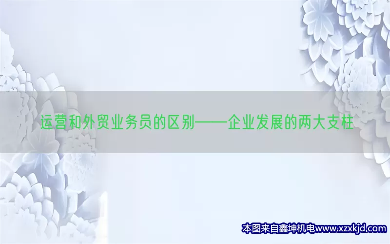 运营和外贸业务员的区别——企业发展的两大支柱(pic1)