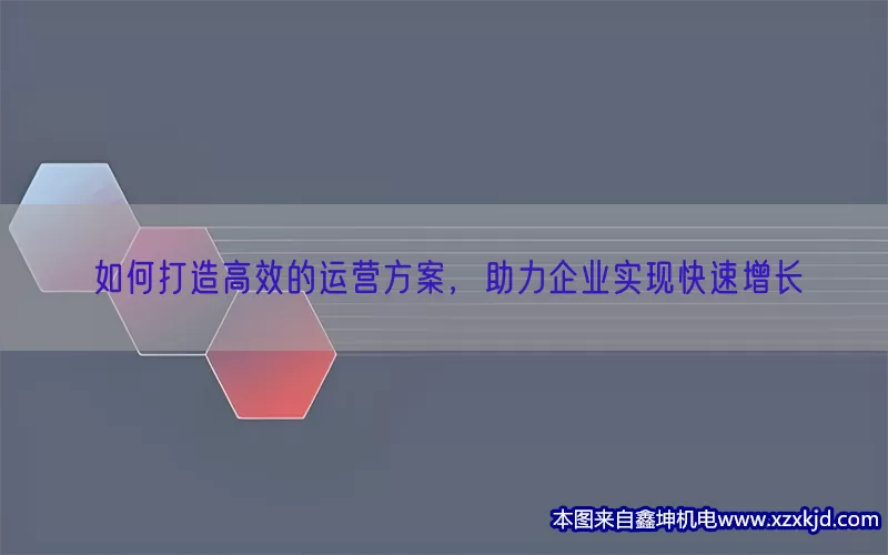 如何打造高效的运营方案，助力企业实现快速增长(pic1)
