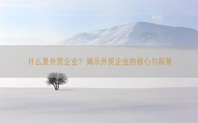 什么是外贸企业？揭示外贸企业的核心与前景
