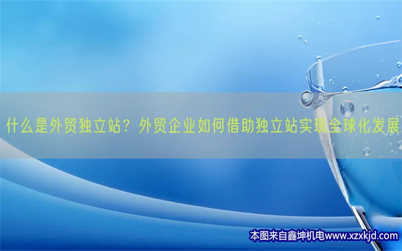 什么是外贸独立站？外贸企业如何借助独立站实现全球化发展(pic1)
