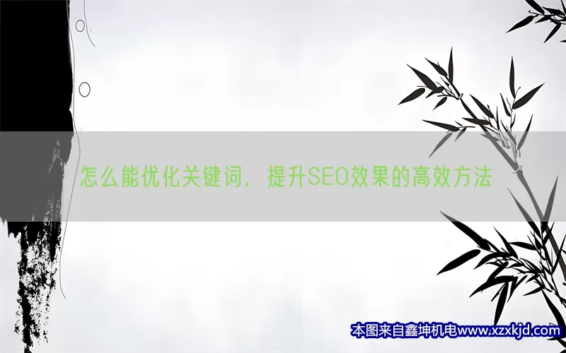 怎么能优化关键词，提升SEO效果的高效方法(pic1)