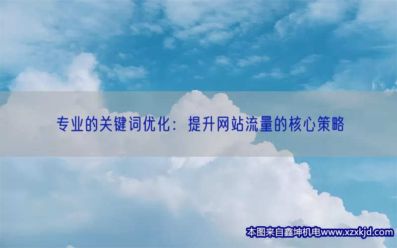 专业的关键词优化：提升网站流量的核心策略(pic1)