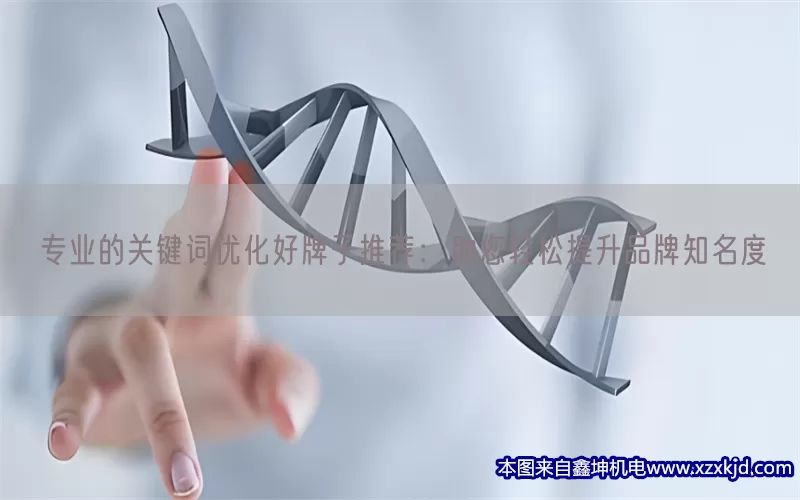 专业的关键词优化好牌子推荐：助您轻松提升品牌知名度(pic1)